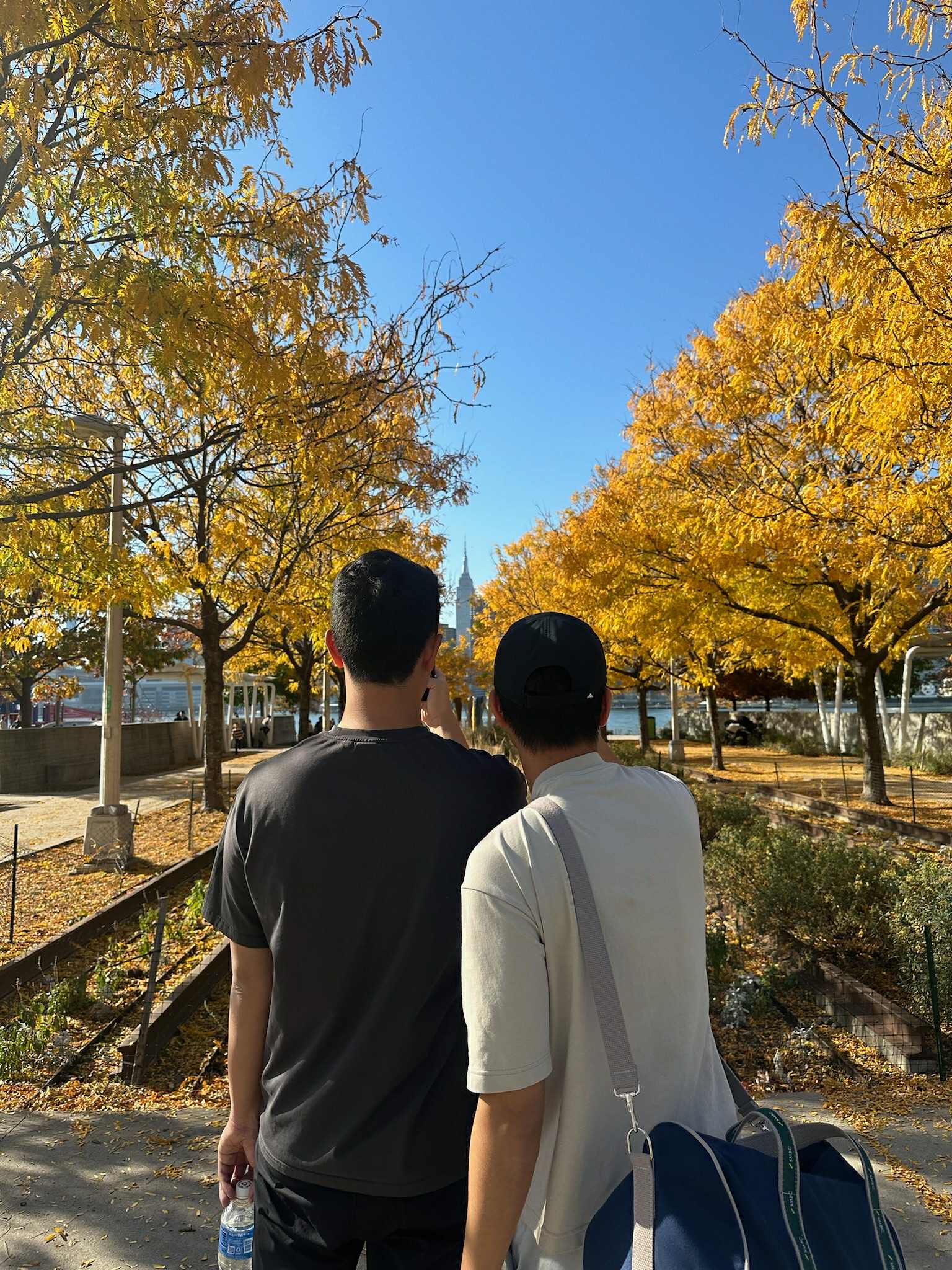 Fall foliage the only thing moving faster than Hamilton elev.