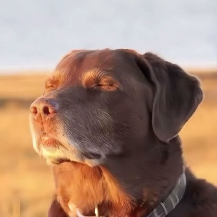 When your therapist says 'just relax' and you're like, 'Ah yes, I'll just switch off my existential dread now.'