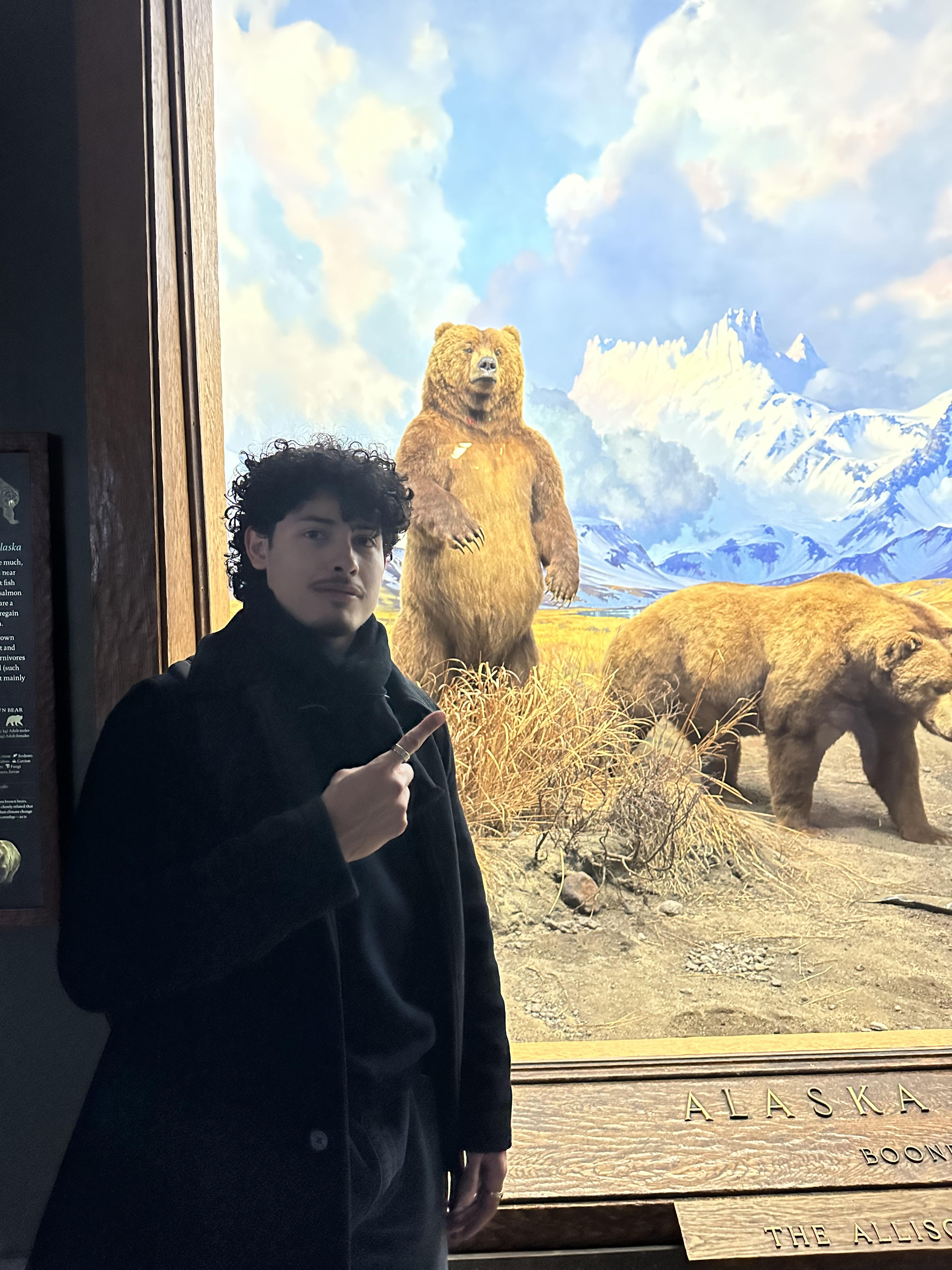 In this image, a young man stands confidently in front of a taxidermy display featuring a large bear. He sports a black coat and has curly hair, striking a casual yet assertive pose with his finger raised, possibly pointing at the bear. His demeanor suggests a mix of amusement and pride, as if he’s sharing a moment of fascination or humor about the exhibit.

The background includes a scenic mural of mountains and clouds, enhancing the natural setting of the bear display, which is likely part of a museum or educational exhibit on wildlife, possibly focusing on Alaskan fauna. The wooden sign below reads “ALASKA,” indicating the context of the exhibit. The juxtaposition of the young man’s modern attire against the timeless grandeur of nature creates a humorous contrast, as if he’s playfully asserting his dominance over the majestic bear.