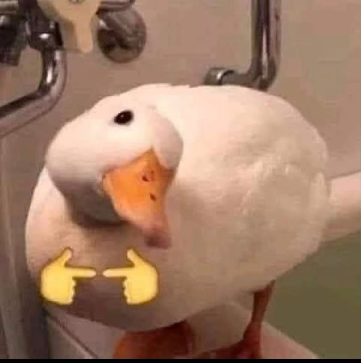 {"scene":"white duck on a toilet tank with pointing finger emojis","facial_expression":["round black eye","closed beak"],"gestures":["head tilted","body leaning forward","standing on flat surface","emoji fingers pointing inward"],"elements":["white duck","orange beak","black eye","yellow pointing finger emojis","metal bathroom fixtures","toilet tank","beige/tan wall","chrome pipe"],"people":[],"animals":["white duck"],"environment":"bathroom / toilet area","colors":["white","orange","yellow","chrome/silver","beige/tan","black","greenish-gray"],"actions":["standing","head turned toward camera","perched on toilet tank","emoji pointing"],"observable_mood":""}