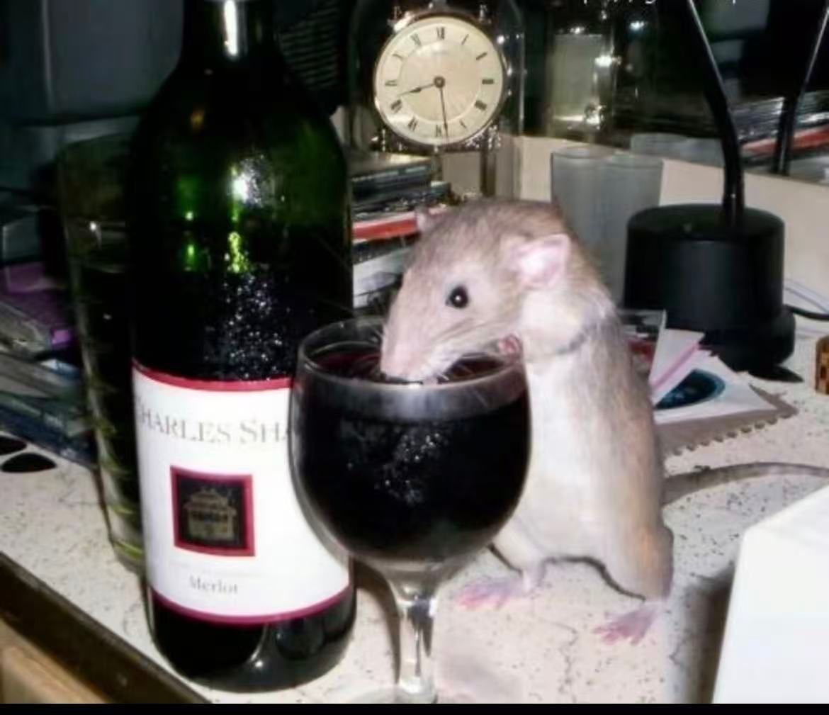 This iconic image captures a light-colored rat, head fully immersed, seemingly enjoying a drink from a wine glass filled with red wine. The rat's demeanor is one of focused indulgence, almost as if it's a connoisseur of fine (or rather, budget-friendly) beverages. Beside it stands a large green bottle of "Charles Shaw Merlot," famously known as "Two-Buck Chuck," adding a humorous layer to the rat's sophisticated taste. The cluttered background, featuring a vintage clock and desk lamp, suggests a casual, domestic setting, making the scene even more absurd and relatable. This picture is a perfect embodiment of the popular "Rat Drinking Wine" meme, highlighting the unexpected and comical sight of an animal partaking in human-like leisure.