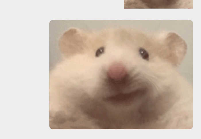 {
  "scene": "Close-up of a hamster's face",
  "elements": ["hamster's face", "fur", "black eyes", "pink nose", "small ears"],
  "people": [],
  "environment": "indoor, neutral background",
  "observable_mood": "neutral"
}