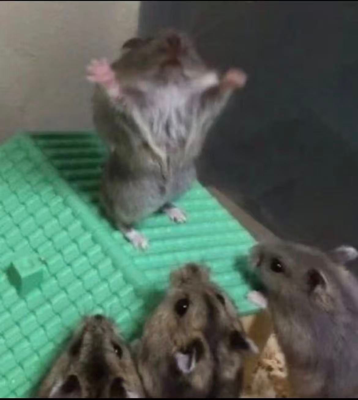 Friends helping me taking my LinkedIn background image