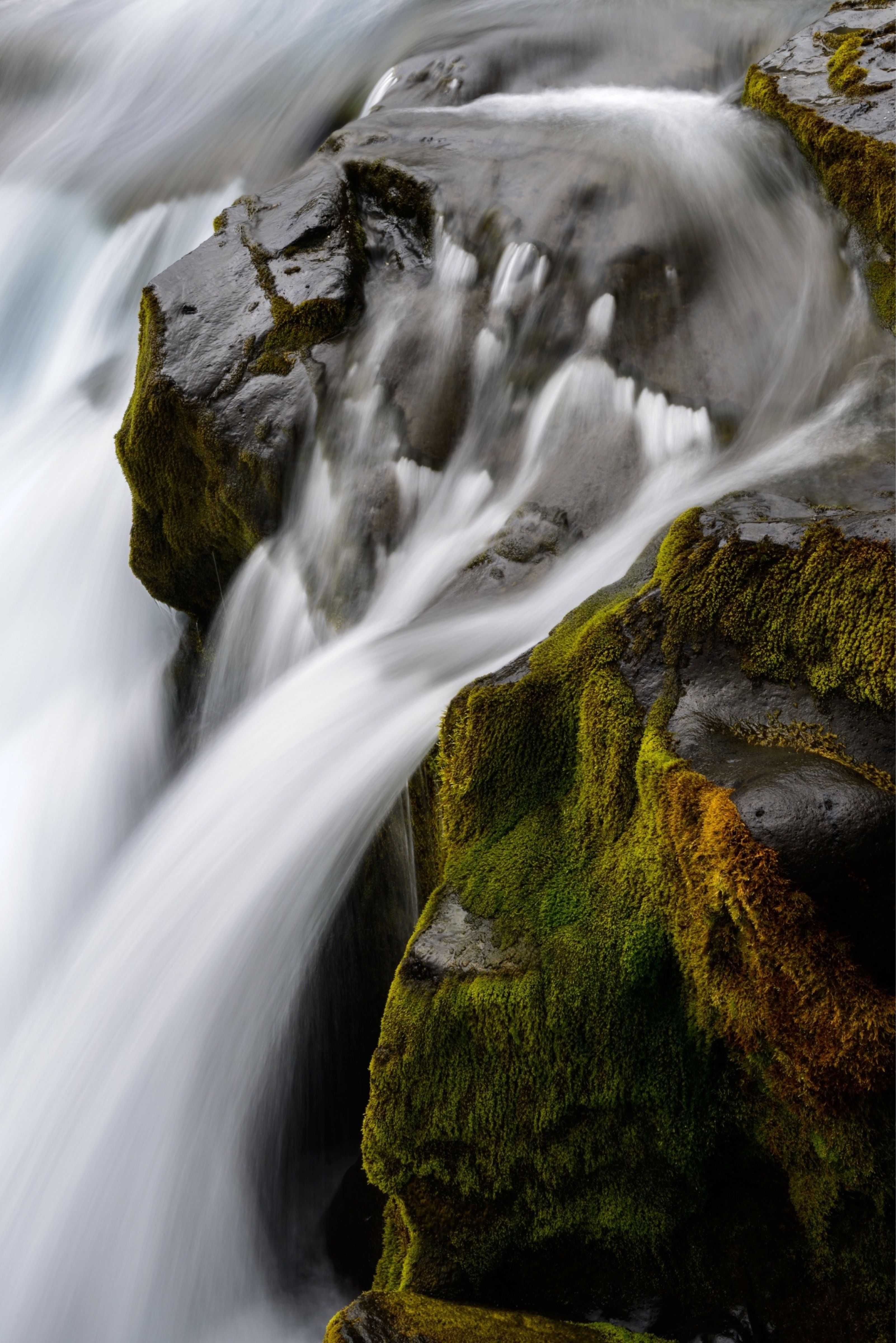 Oh, didn't see you there, just locked in like moss on rocks.