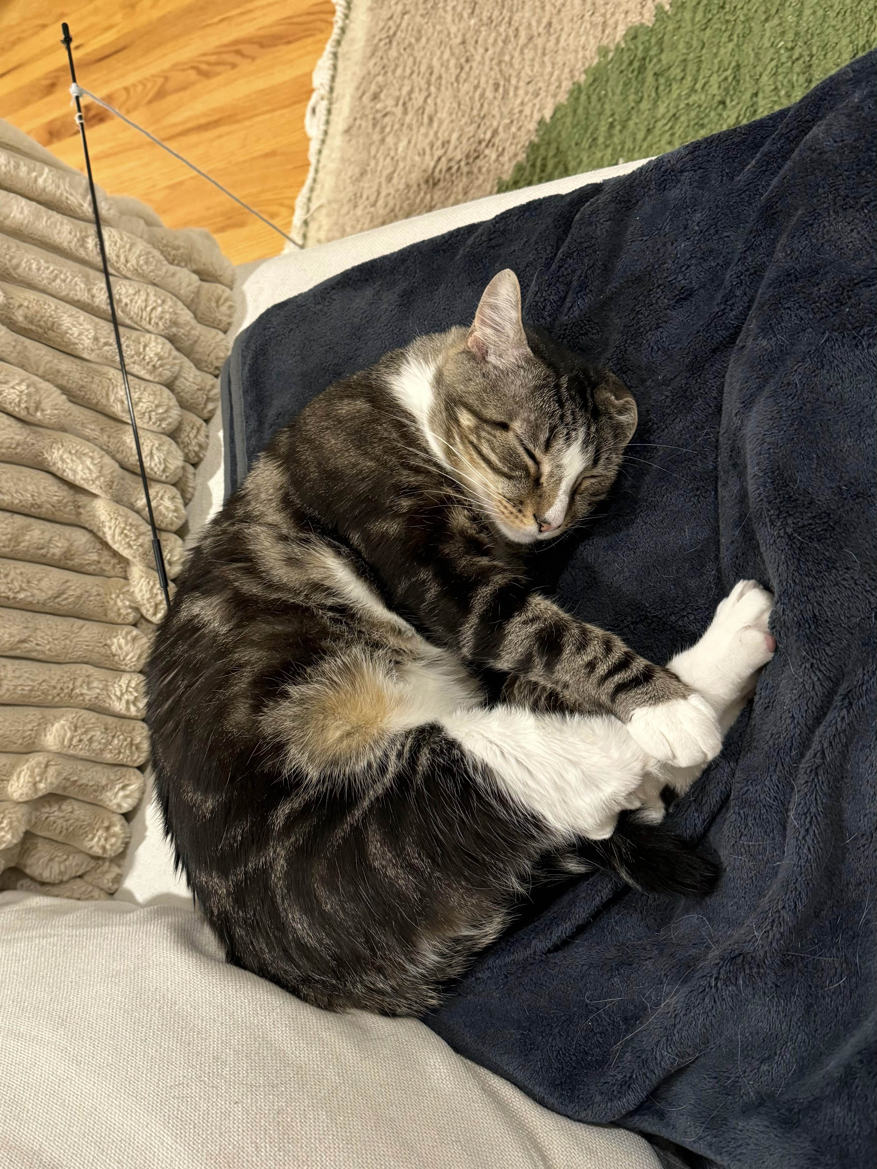 You’re in a committed relationship with your couch, aren't you?