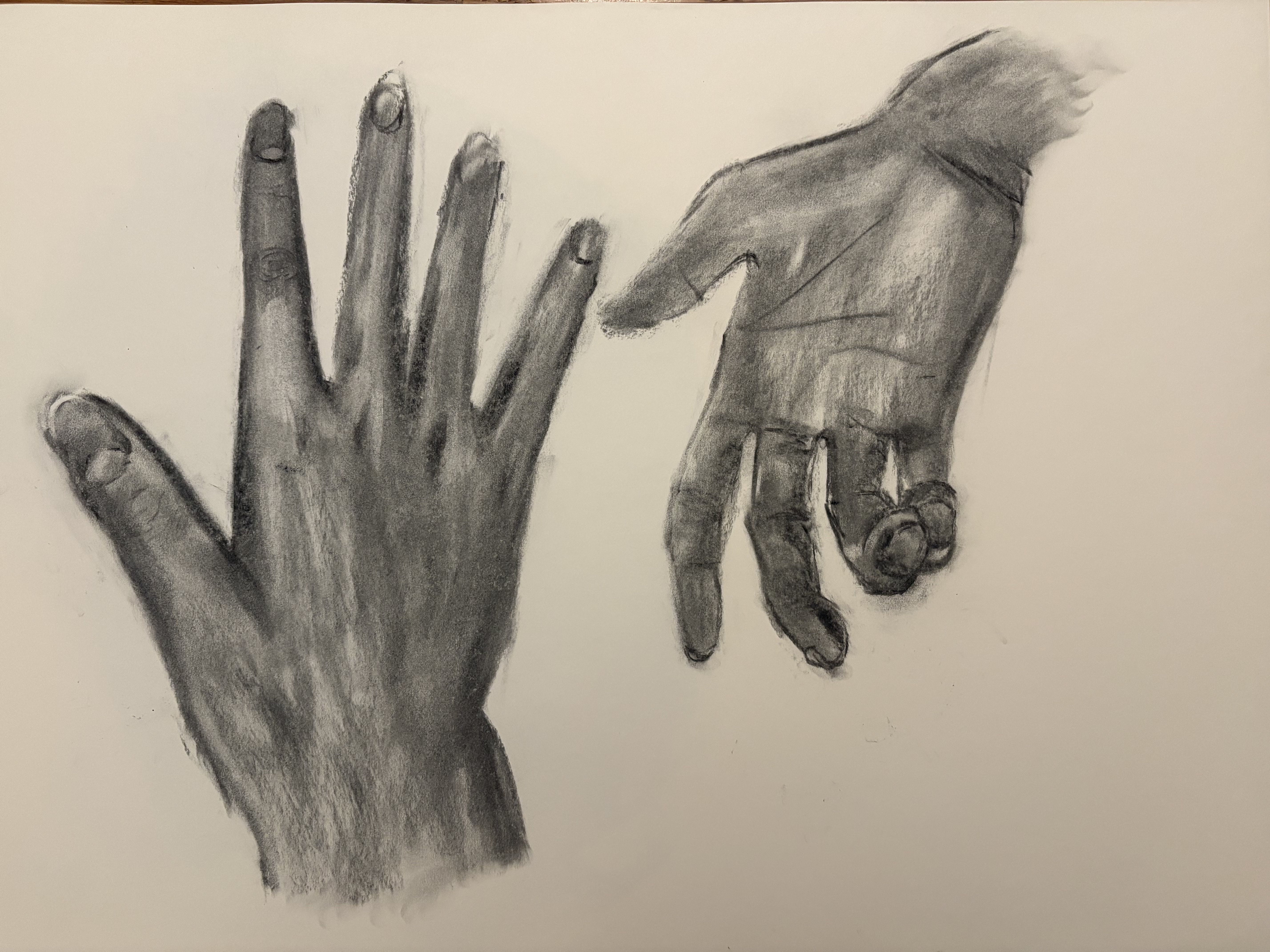 The image depicts two hands drawn in charcoal, showcasing detailed textures and shadows. The left hand is open with fingers spread, suggesting a relaxed or inviting demeanor. The right hand appears to be reaching out or holding a small object, possibly a coin, indicating a gesture of offering or curiosity.
The absence of a background emphasizes the hands, drawing focus to their expressive poses. This could symbolize themes of connection or communication, as hands often represent interaction.
Humorously, one might imagine the hands having a conversation, with the left hand playfully saying, "Hey, don't forget to tip me!" while the right hand, clutching the coin, responds, "This is all I've got!" The exaggerated expressions of the hands lend a comical anthropomorphic quality to the artwork.