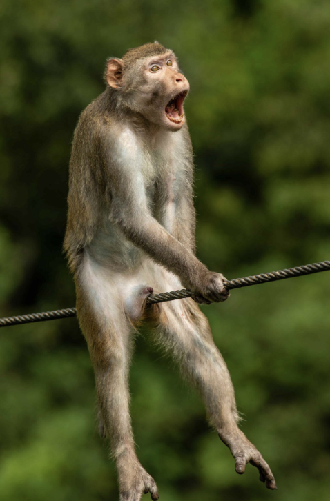 When the WiFi drops mid-call during a VC pitch.