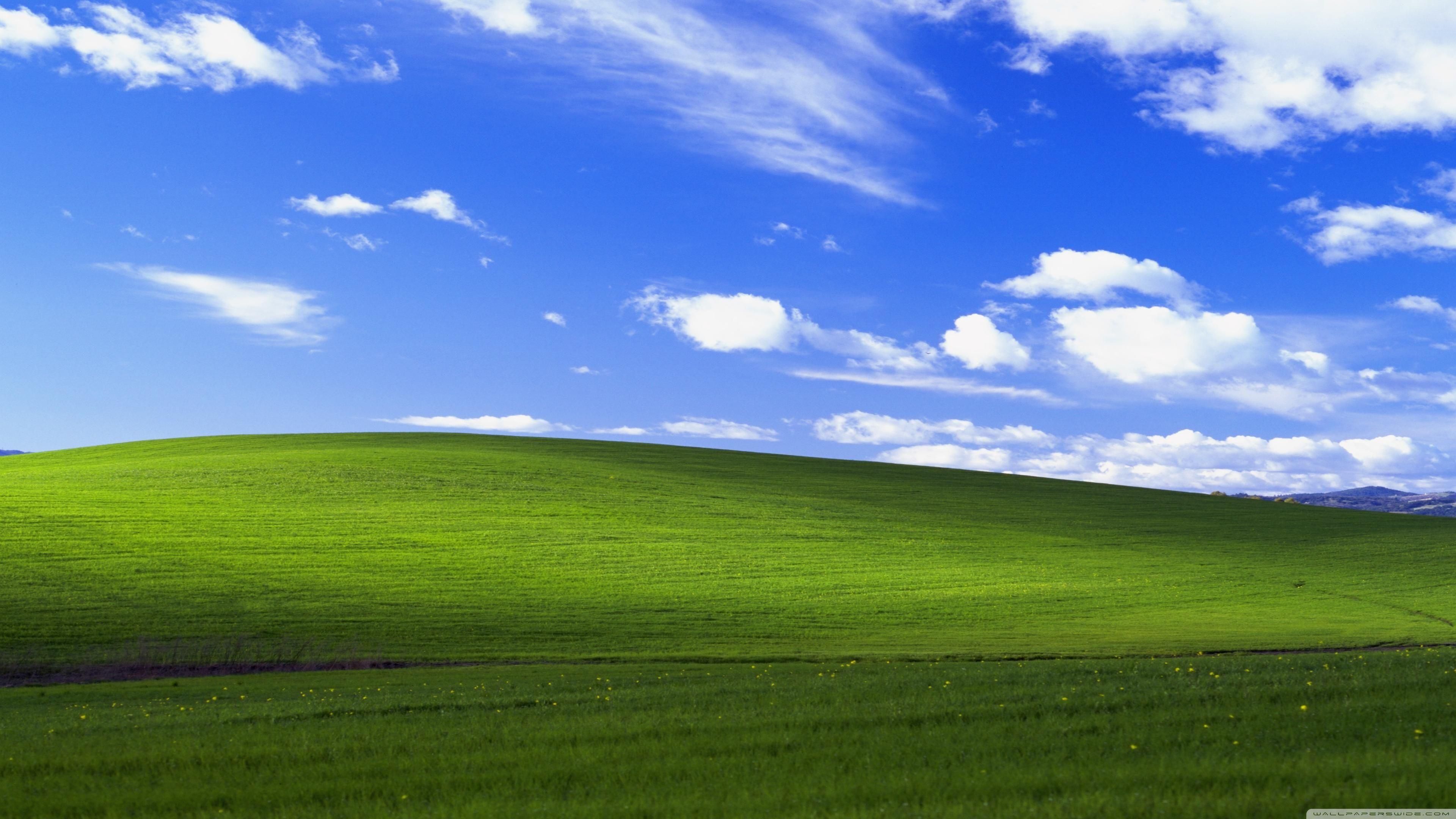 Windows XP hill: therapy says it's fine, it's dead inside