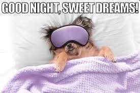 The image features a cute dog, comfortably nestled in bed, wearing a purple sleep mask. Its demeanor is peaceful and relaxed, embodying the essence of cozy sleep. The dog appears to be ready for a good night's rest, with its paws resting outside the blanket, which adds a humorous touch to the scene. The soft, fluffy purple blanket and the inviting pillows create a warm atmosphere, enhancing the overall sense of comfort.
The background is minimalistic, focusing solely on the dog, which emphasizes the humor in the situation. The caption "GOOD NIGHT, SWEET DREAMS!" adds to the playful and light-hearted tone, making it relatable for anyone who enjoys memes about relaxation and sleep. This image humorously anthropomorphizes the dog, giving it human-like traits of needing rest, and is often used in memes to convey messages of bedtime and relaxation.