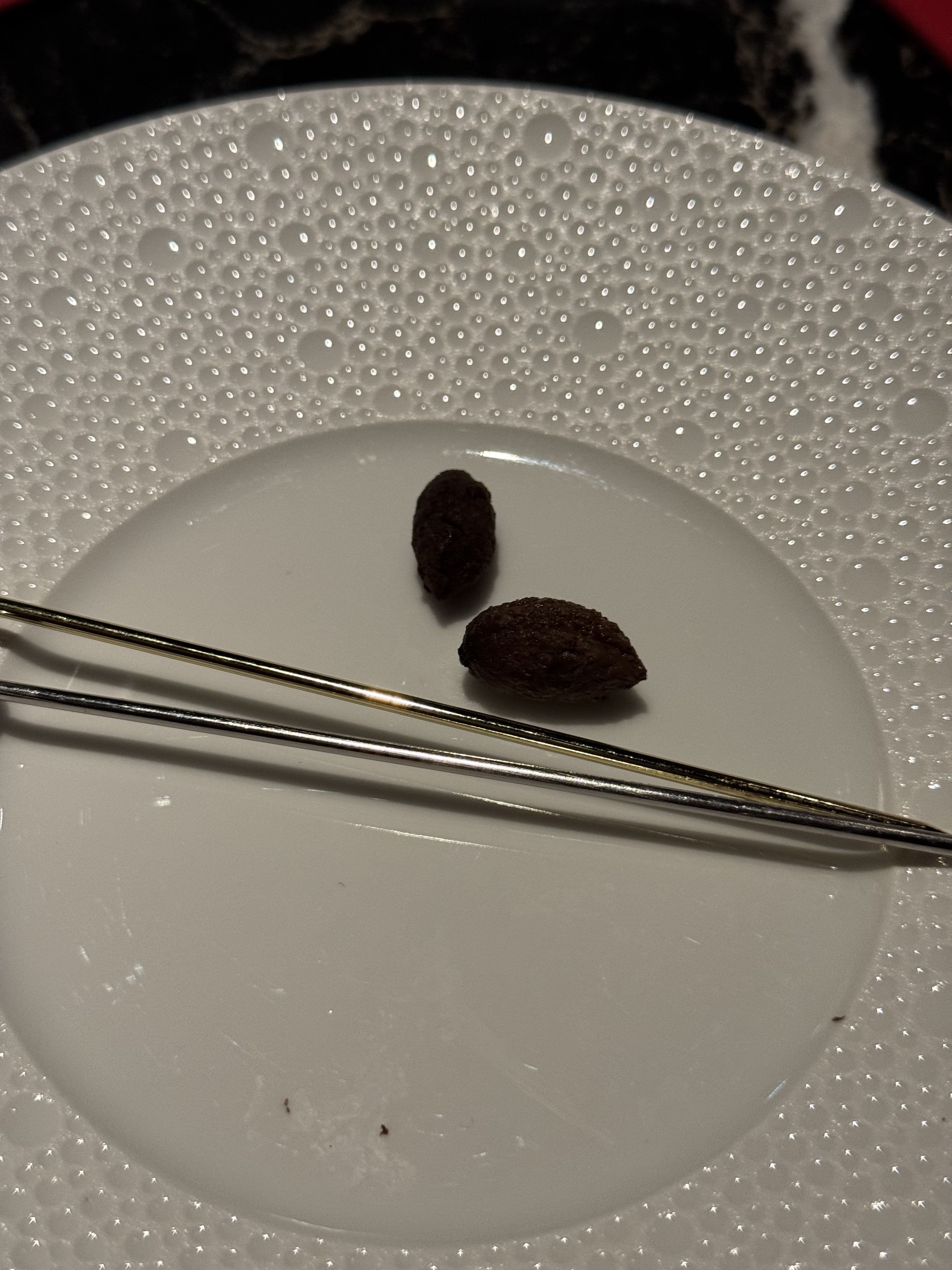 This close-up shot features two small, dark, oval-shaped objects, resembling nuts or seeds, resting demurely on a pristine white plate. They appear to be patiently awaiting their culinary destiny, perhaps a bit overwhelmed by the vastness of their ceramic stage. Two slender metallic rods, one gold and one silver, lie elegantly across the plate, acting as sophisticated guardians or presenters for these humble morsels. The plate itself boasts a unique, bubbly textured rim, suggesting a high-end dining experience, which humorously contrasts with the incredibly minimalist portion. The dark, out-of-focus background ensures all attention remains on this intriguing, albeit tiny, gastronomic presentation.