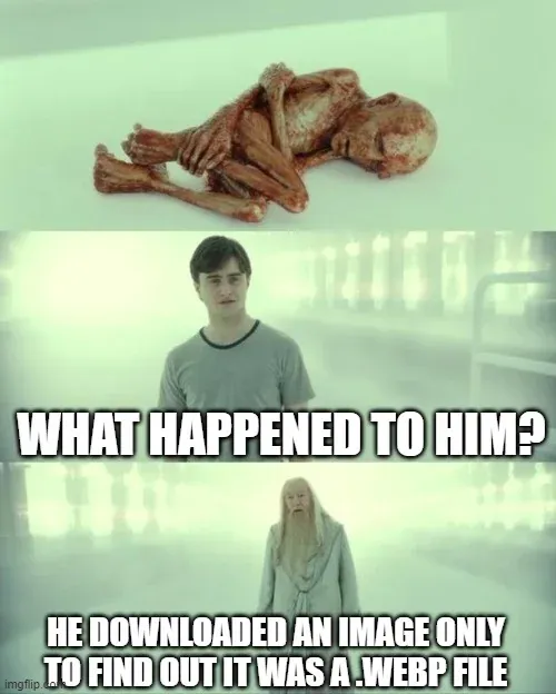 This multi-panel meme captures a poignant scene from "Harry Potter and the Deathly Hallows – Part 2," specifically the iconic King's Cross/Limbo sequence. The top panel features the shriveled, infant-like creature, representing Voldemort's soul fragment, lying in a fetal position, appearing utterly helpless and in agony. The ethereal, stark white background emphasizes its isolation. Below, Daniel Radcliffe as Harry Potter looks on with a confused and concerned demeanor, while Michael Gambon as Albus Dumbledore stands calmly, his wise expression hinting at the profound nature of their surroundings. The background, a misty, otherworldly King's Cross, perfectly sets the scene for this pivotal moment of revelation. The humor arises from the overlaid text: "WHAT HAPPENED TO HIM?" and Dumbledore's "HE DOWNLOADED AN IMAGE ONLY TO FIND OUT IT WAS A .WEBP FILE," comically attributing the creature's suffering to a common digital frustration, making it a widely recognized meme.
