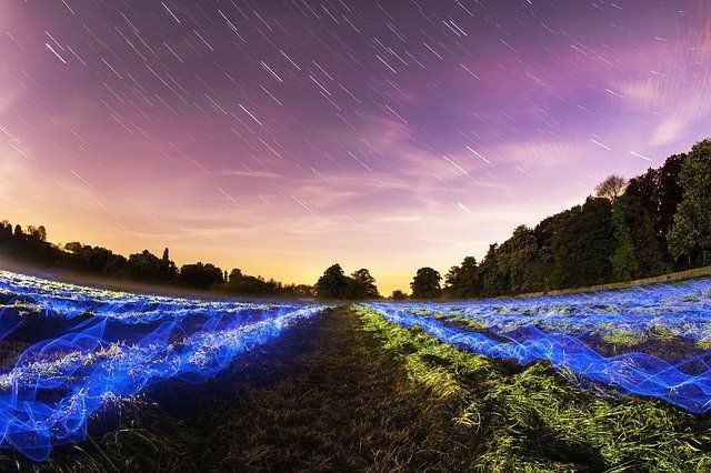 This captivating landscape photograph showcases a field at twilight, where the very ground seems to be throwing a cosmic dance party. The 'subject,' the field itself, is in a state of vibrant, electric joy, with mesmerizing blue light painting creating wavy, ethereal patterns across the grass. It's as if the field is channeling its inner rave-goer, completely oblivious to the serene yet dynamic backdrop. Above, a stunning purple and orange sky is streaked with countless star trails, like celestial confetti falling from a party in the heavens. The dark treeline stands as a silent, watchful audience to this otherworldly spectacle. The humorous juxtaposition lies in the field's energetic light show beneath a sky of calmly streaking stars, making it look like a secret alien disco or a meadow that's finally let loose.