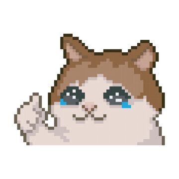 This image depicts the widely recognized 'Crying Cat Thumbs Up' internet meme, rendered in charming pixel art. The subject is an anthropomorphized cat with fluffy brown and white fur, its face dominated by large, glistening eyes from which prominent blue tears stream down. Despite its obvious distress, indicated by the crying, the cat's demeanor is humorously contradictory as it extends a paw to give a firm thumbs-up gesture. This juxtaposition perfectly captures the meme's essence of feigned happiness or forced positivity in the face of sadness. The plain white background isolates the cat, drawing full attention to its comically conflicted expression, making it instantly recognizable and relatable for conveying a 'I'm fine' sentiment when one is clearly not.