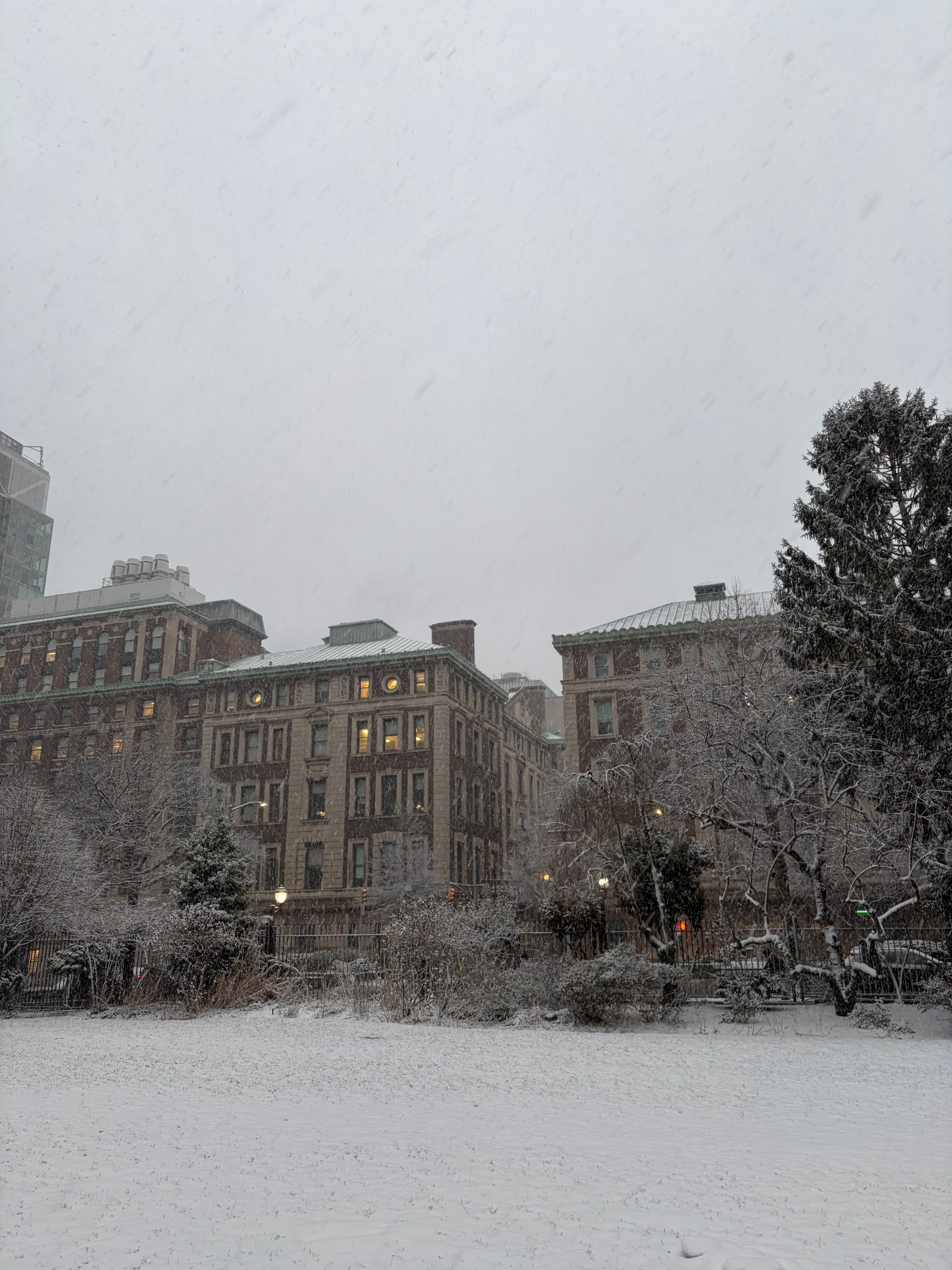 This enchanting winter tableau presents a city block transformed by a gentle snowfall. The grand, brick buildings, with their numerous windows glowing like sleepy eyes, seem to be having a cozy night in, perhaps secretly judging the chilly weather outside. They stand stoically, adorned with a dusting of white, like old gentlemen reluctantly donning a new, fluffy hat. The bare trees, usually bustling with gossip, are now hushed and still, their branches delicately outlined in snow, looking like they've been caught mid-whisper and frozen in place. A lone evergreen, however, proudly wears its snowy coat, ready for a winter fashion show. The ground is a pristine white canvas, eagerly awaiting the first footprints, while the falling snow dances playfully, determined to cover every last speck of green. It's a quiet, whimsical moment where the city itself seems to be taking a delightful, snowy nap.