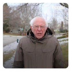 The image features Bernie Sanders, a prominent U.S. Senator known for his progressive policies and advocacy for social justice. In the image, he stands firmly with a serious demeanor, reflecting his no-nonsense attitude towards political issues. Dressed in a warm, olive-green coat, his expression conveys a mix of determination and concern, which is characteristic of his public persona.  

The background reveals a suburban setting, with bare trees and a hint of winter, suggesting a cold, possibly transitional season. This environment might symbolize the challenges he faces in his political endeavors, as well as the hope for change. Overall, the image captures Sanders' commitment to social justice amidst a stark, cold backdrop—an apt metaphor for the struggles he often highlights in his speeches.
