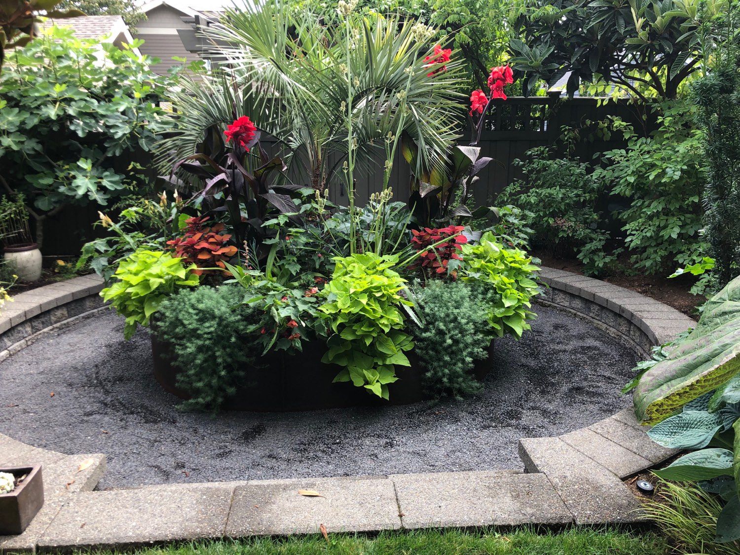 Plants throwing shade, like their therapist appointment got moved