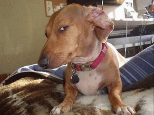 When your crush dates someone else: 'This is why I don't believe in love.'