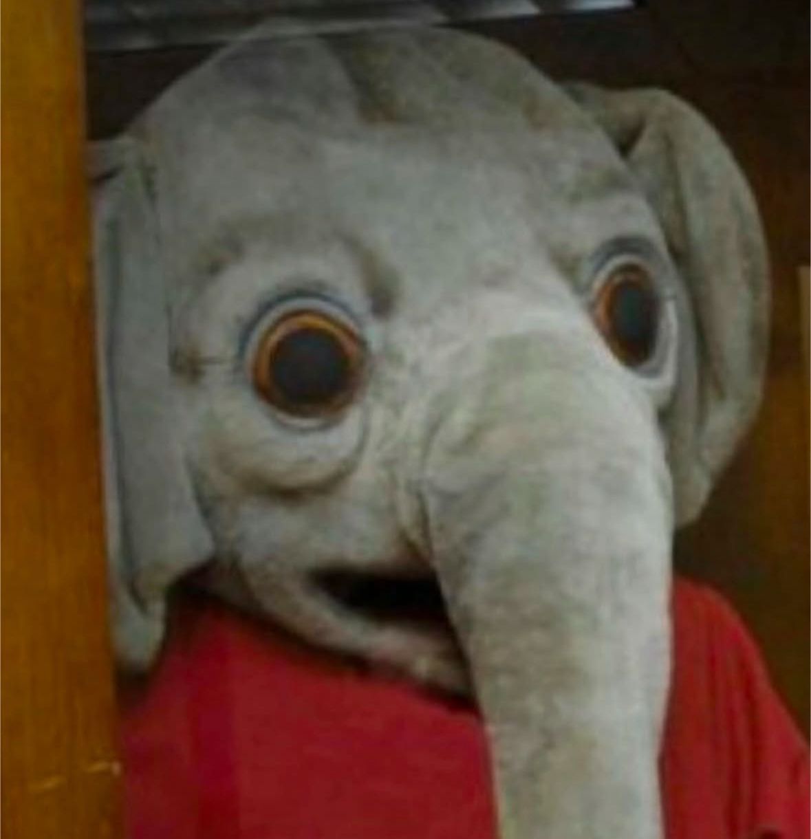 I’m this confused after missing my 8:40 a.m. class.