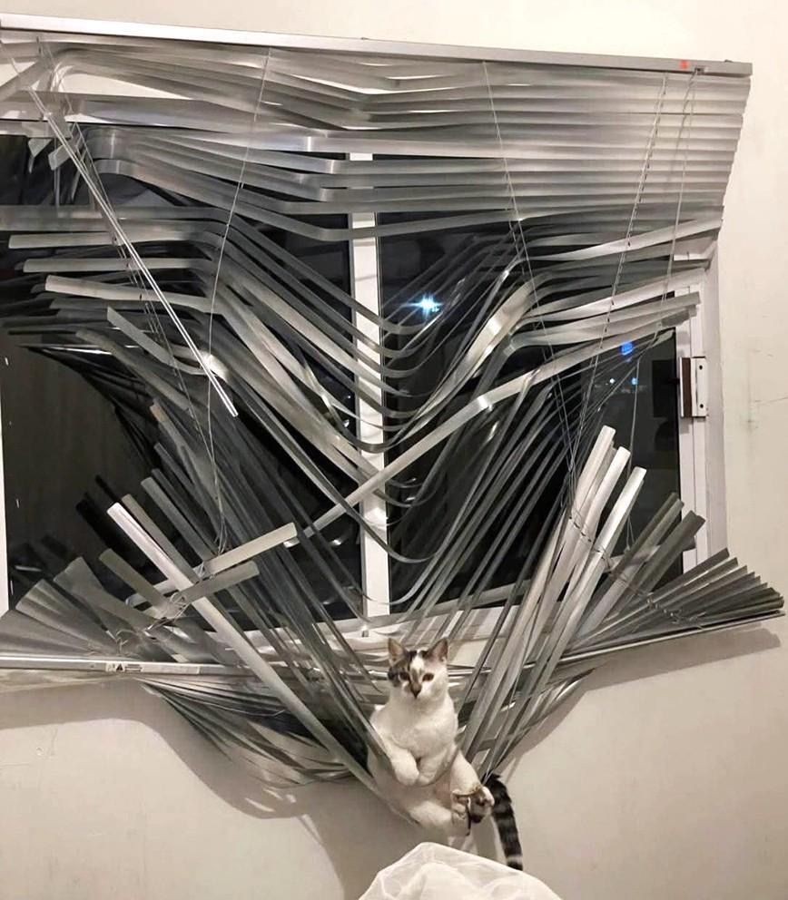Bro just dropped the most chaotic blind redesign, no cap.