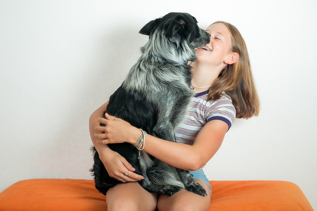 In this heartwarming image, a girl joyfully embraces a large, fluffy dog, their faces close together. The girl's demeanor radiates happiness, with a broad smile revealing braces as she shares a playful moment with her furry friend. The dog, appearing equally enthusiastic, seems to be leaning in for a kiss, its expressive eyes gleaming with affection.
The background is minimalistic, featuring a soft white wall that emphasizes the bond between the girl and the dog. An orange couch adds a pop of color, contrasting with the neutral tones and enhancing the warmth of the scene. This intimate setting suggests a cozy home environment, ideal for nurturing such joyful connections.
The playful interaction evokes humor, as if the dog is plotting to steal a kiss, making it a delightful representation of the joy pets bring into our lives.